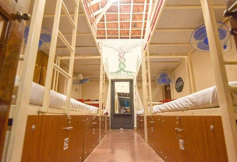 Standard Tent, Happy Panda Hostel Arambol Goa