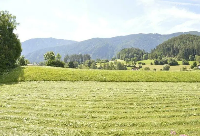 Standard Yhden Hengen Huone Parveke, Pension Panorama