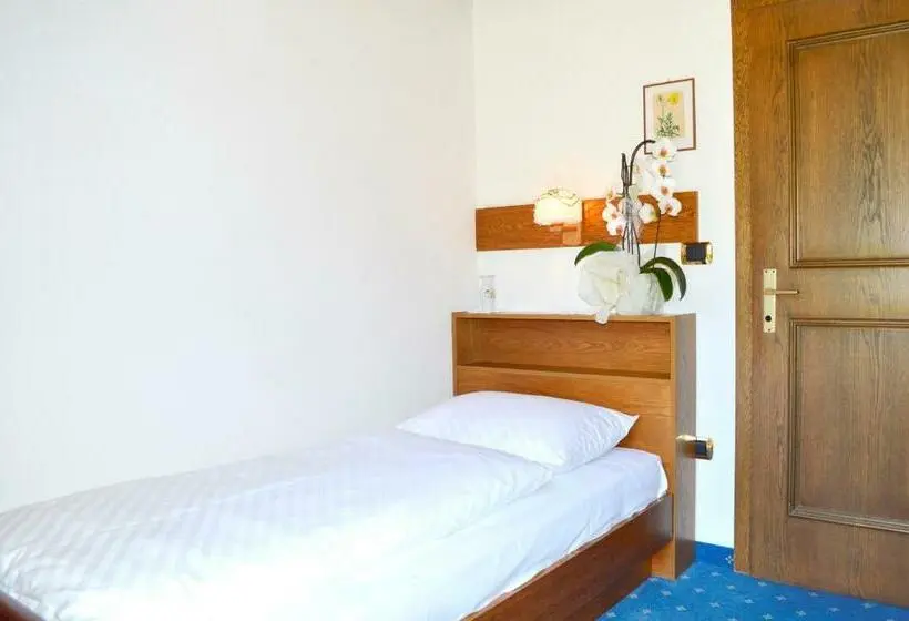 Standard Yhden Hengen Huone Parveke, Pension Panorama