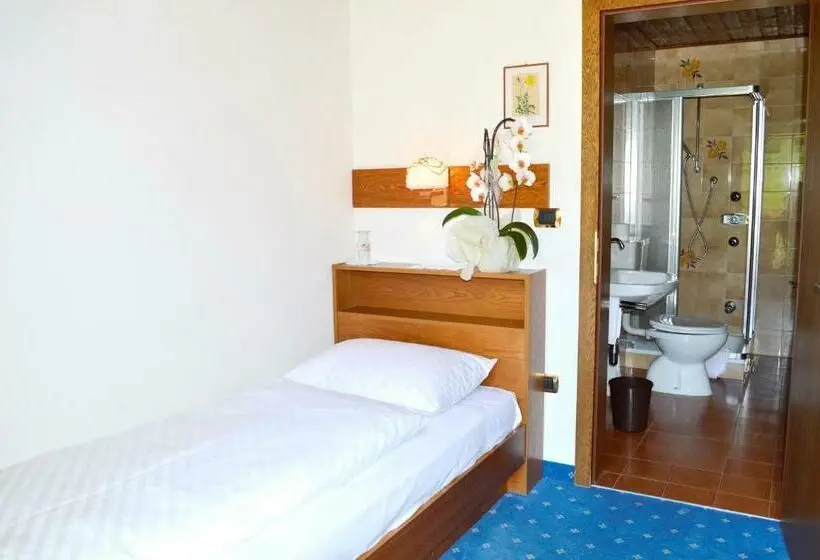 Standard Yhden Hengen Huone Parveke, Pension Panorama