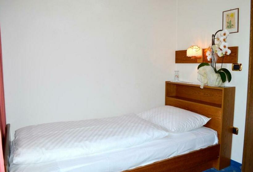 غرفة قياسية فردية مزودة بشُرفة, Pension Panorama