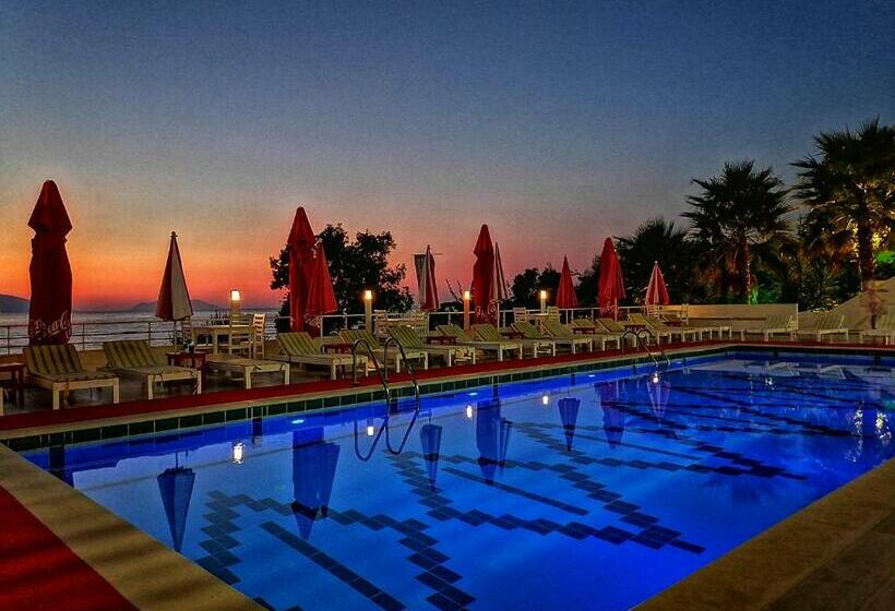 オーシャンビュースタンダードルームバルコニー付き, Picasso