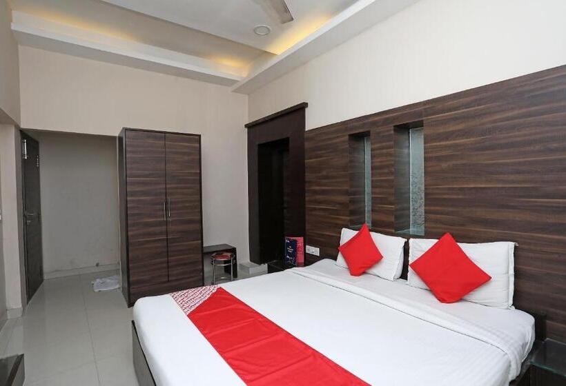 标准间, O South Fern