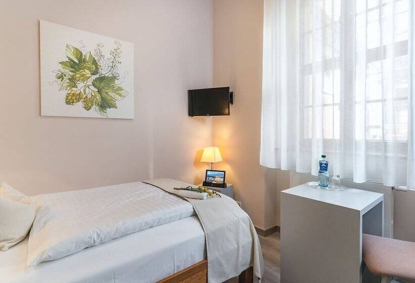 غرفة قياسية فردية, Pirnscher Hof   Hotel Garni