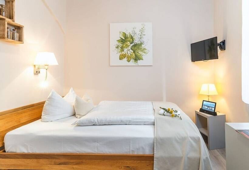 غرفة قياسية فردية, Pirnscher Hof   Hotel Garni