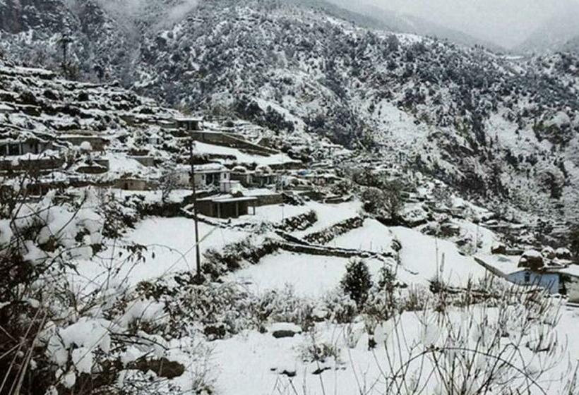 Standardrum Bergsutsikt, Trinetra Orchards