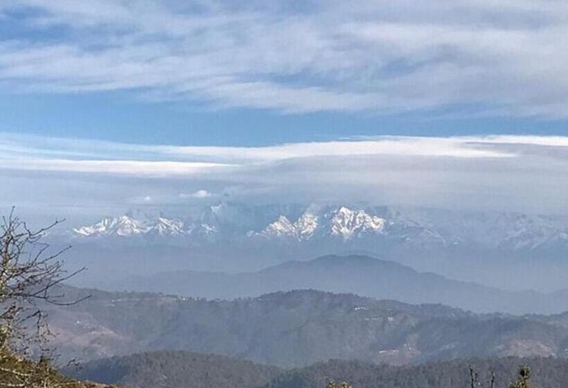 Standardrum Bergsutsikt, Trinetra Orchards