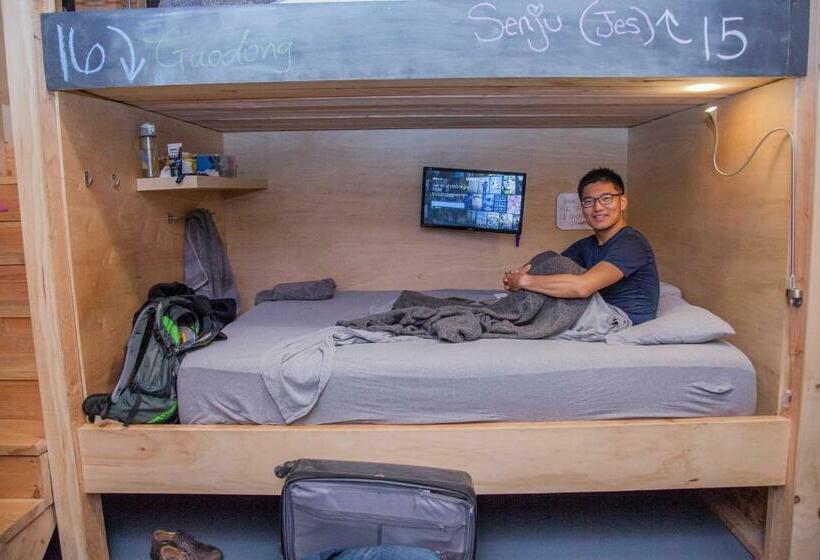 سرير فى غرفة مشتركه, Podshare Dtla