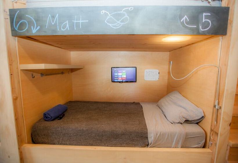 سرير فى غرفة مشتركه, Podshare Dtla