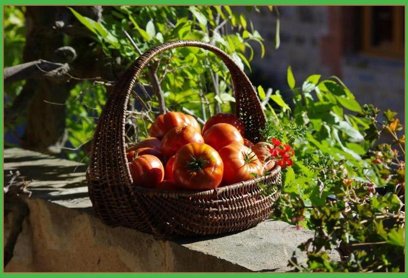 家庭间, La Prade Basse 82