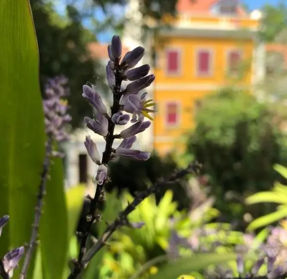 バス共有のスタンダードルーム, Lanui Vintage Guest House