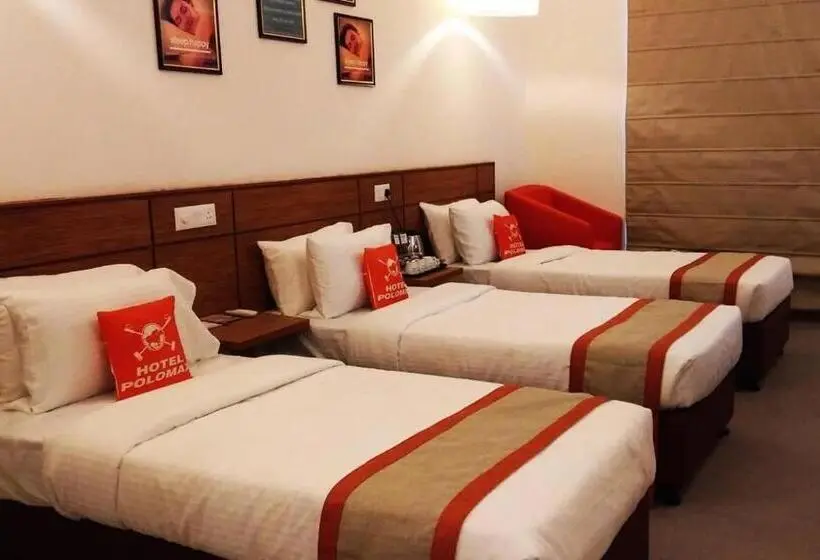 اتاق اکونومی, Max Hotels Jabalpur