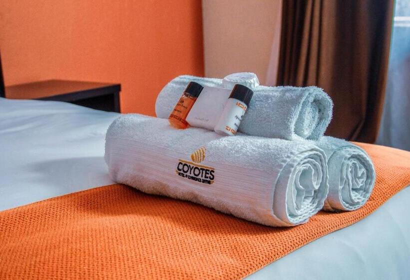 スタンダードルーム, Nelspruit Hotel And Conference Centre