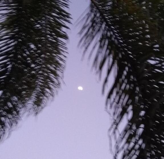 اتاق استاندارد سه نفره, A Alquiler Temporario Arrullo De Luna