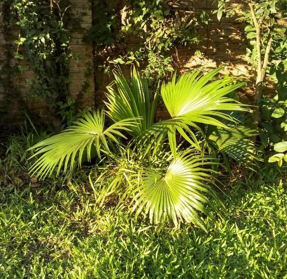 اتاق استاندارد سه نفره, A Alquiler Temporario Arrullo De Luna