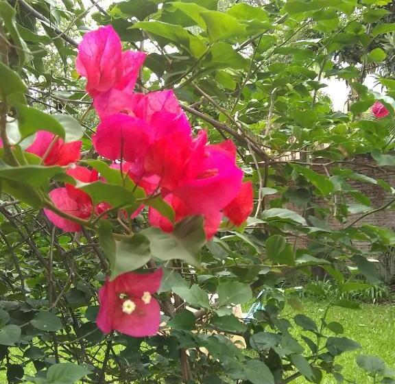 اتاق استاندارد سه نفره, A Alquiler Temporario Arrullo De Luna