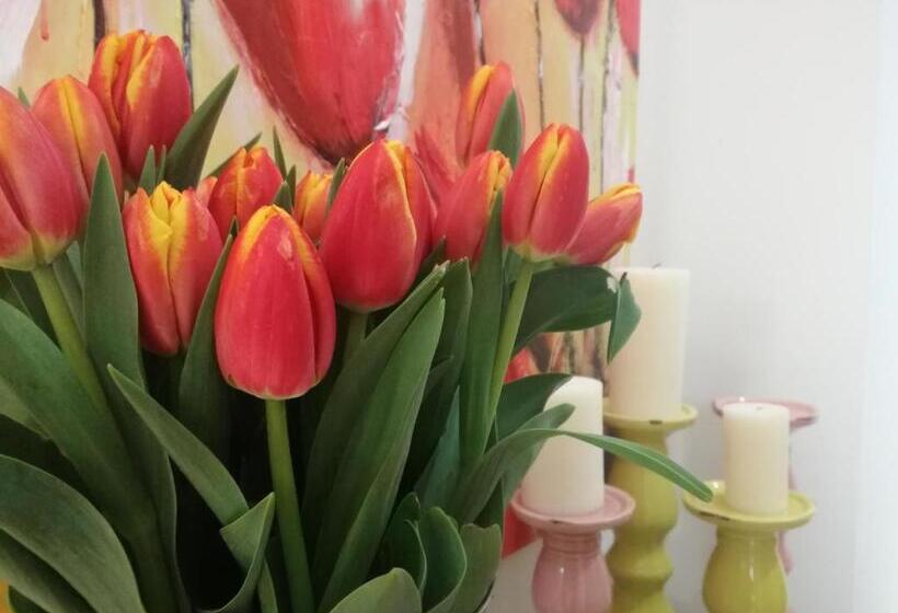 חדר משפחתי, Casa Del Corso