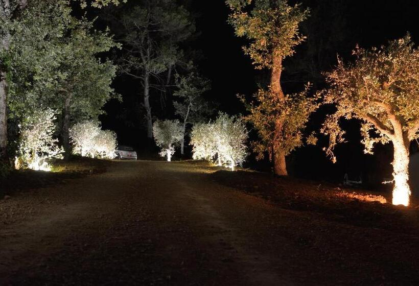 스탠다드 스튜디오 풀장 전망, Sous Les Oliviers Jacuzzi Studios De Standing Tout équipés