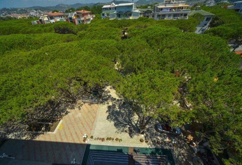 스탠다드 룸 킹사이즈 침대, Elesio