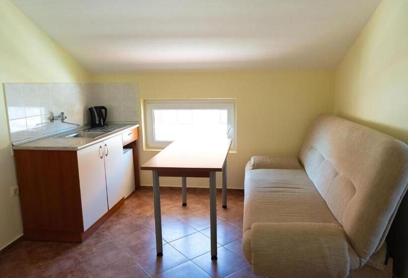 إستوديو قياسى مطل على البحر, Zlatna Ribka