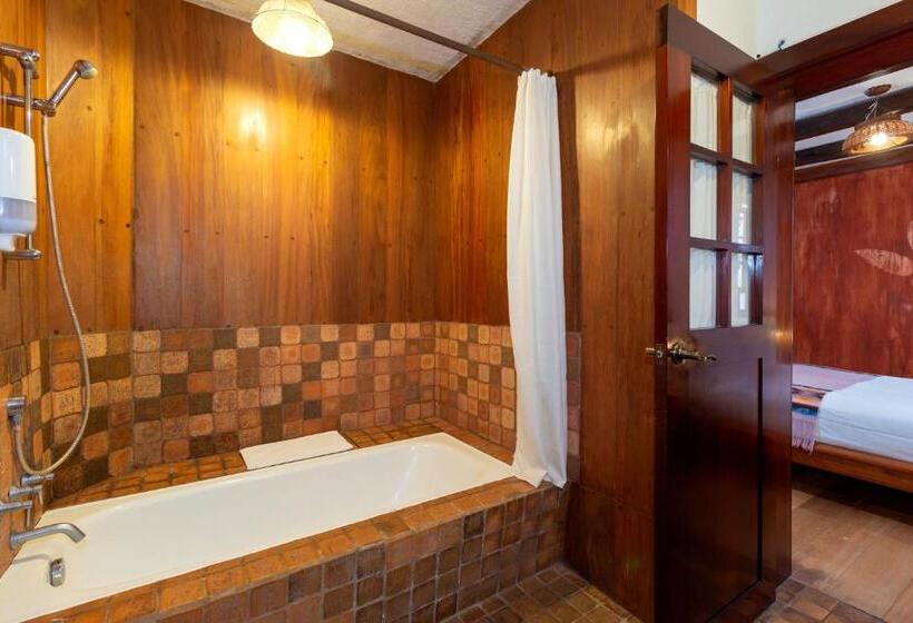 スタンダードルーム, Acoma