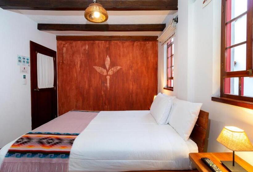 スタンダードルーム, Acoma