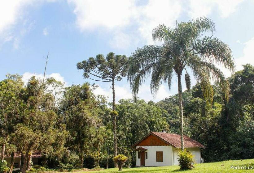 一居室别墅, Donati