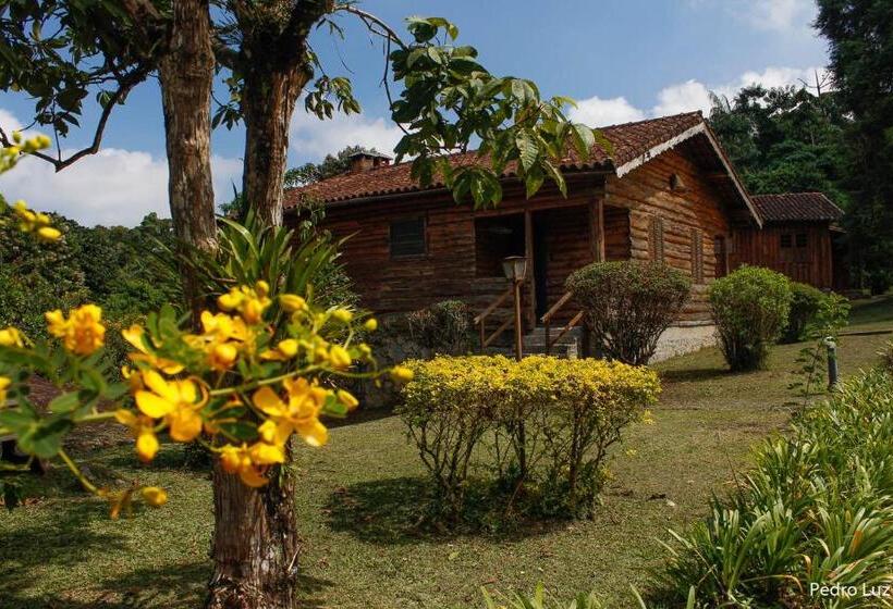 一居室高级别墅, Donati