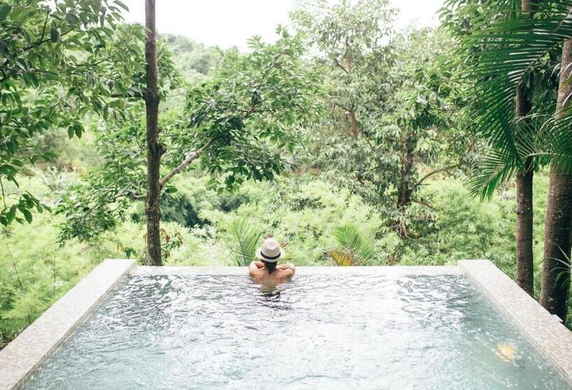 プール付き1ベッドルームヴィラ, Veravian Resort