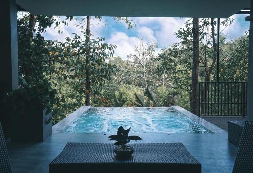 プール付き1ベッドルームヴィラ, Veravian Resort