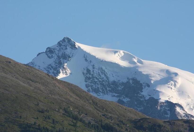 舒适一室公寓, B & B Apartments Ortlerblick