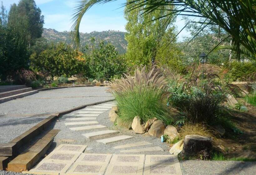 اتاق سوپریور, Boutique Solaz Bella Vista De Colchagua