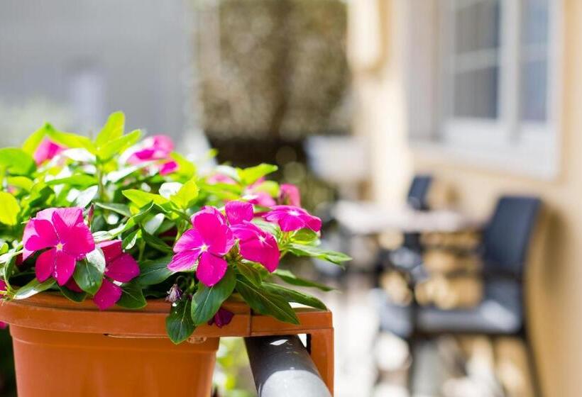 דירת חדר, B&b Le City