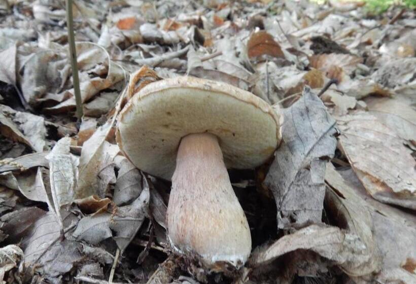 スタンダードルーム, Casa Holiday Sea Etna Di Enza