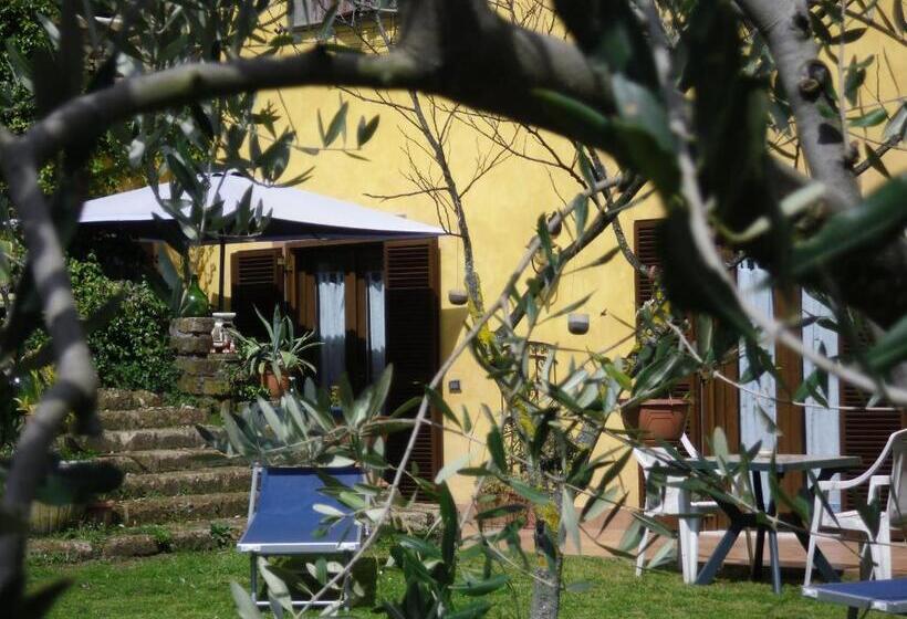 スタンダードルーム, La Culla Dei Castelli Romani