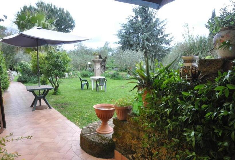 ファミリールーム, La Culla Dei Castelli Romani