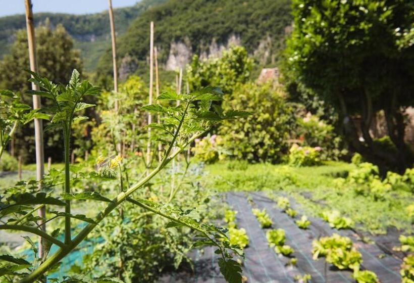Номер Стандарт Четырехместный Совместный Санузел, Locanda Solagna