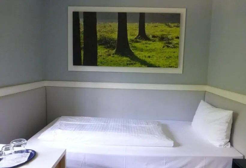 スタンダードシングルルーム, Jugendstilhotel Trifels