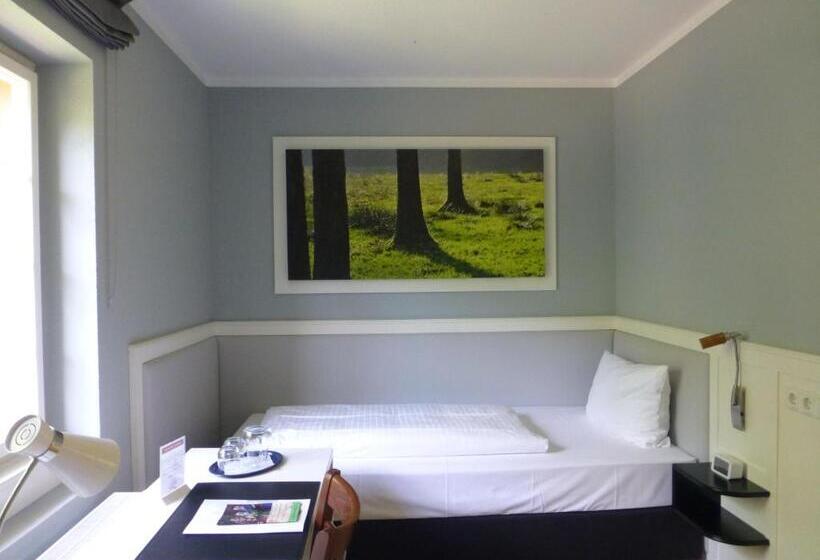 غرفة قياسية فردية, Jugendstilhotel Trifels