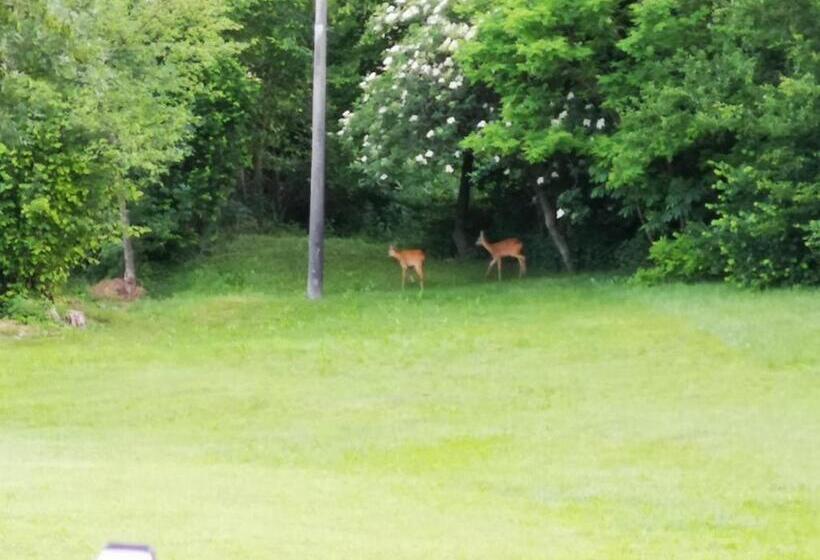 豪华房间, B&b Alla Lanterna