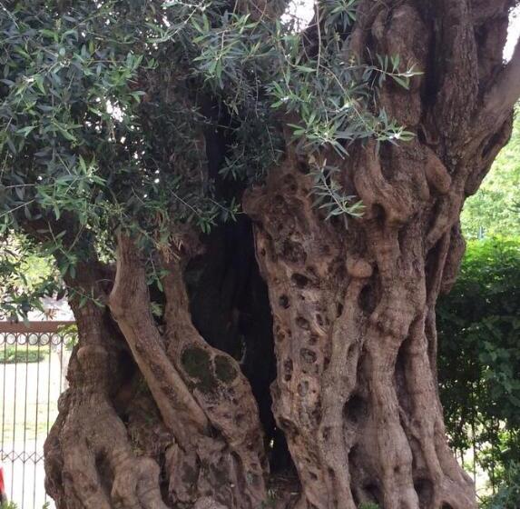 חדר דלוקס, Il Borghetto Hotel Ristorante