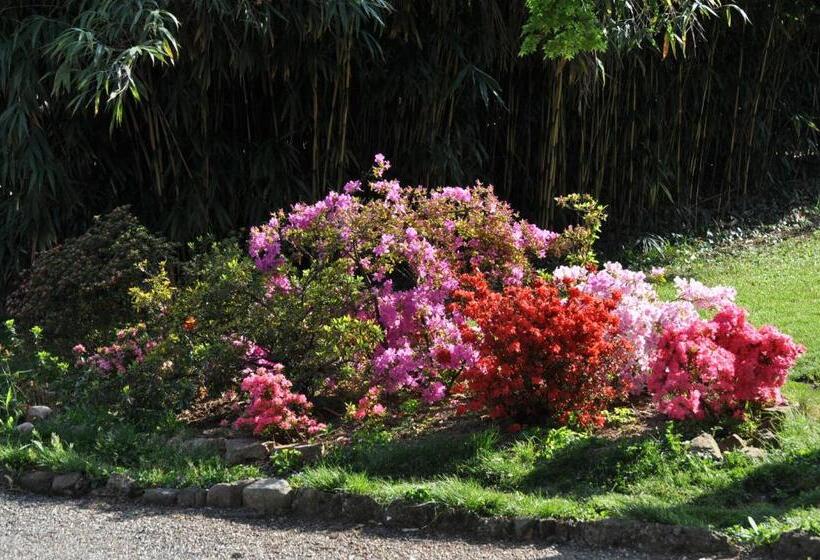 اتاق استاندارد با چشمانداز باغ, Invilla B&b