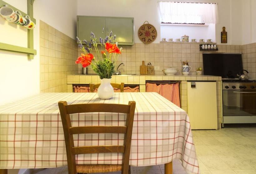 标准工作室, B&b Dimora Morelli