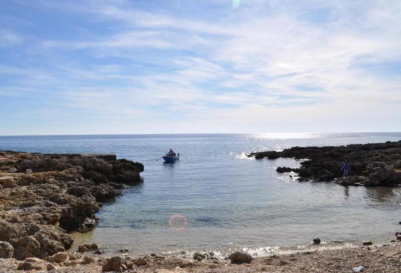 1 Schlafzimmer Apartment, 7 Contrade