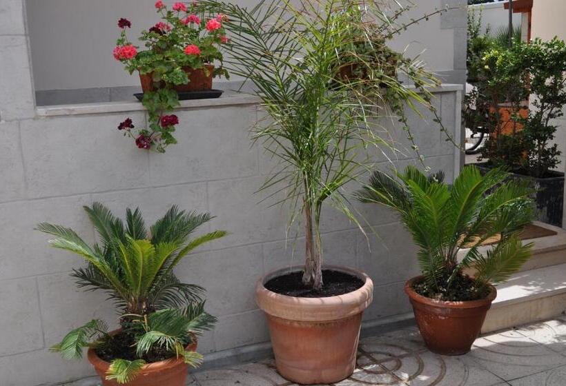 1 Schlafzimmer Apartment, 7 Contrade