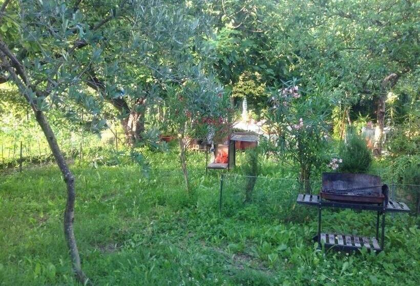 غرفة قياسية, Il Giardino Del Gallo