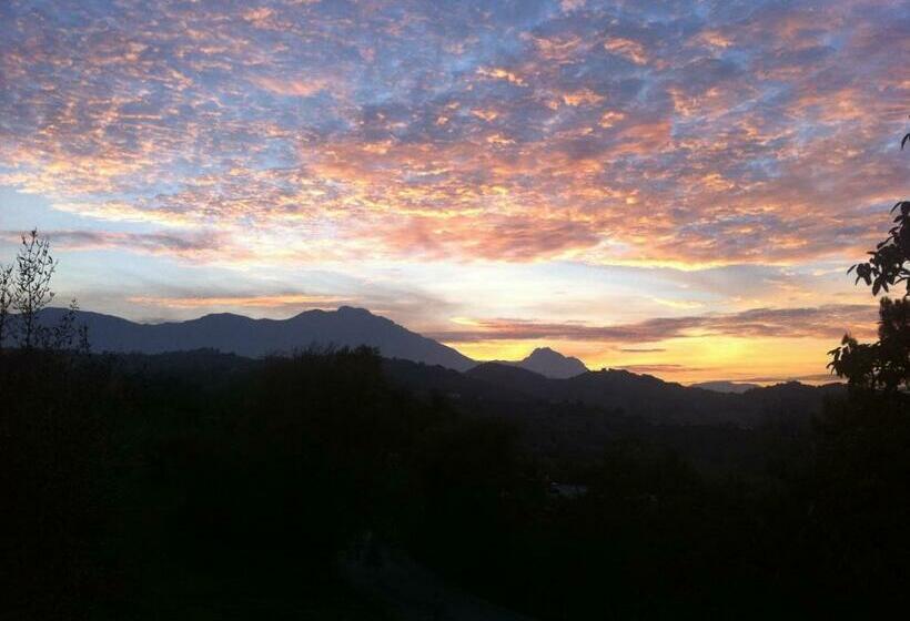 غرفة قياسية سرير كينج, Villa Emma