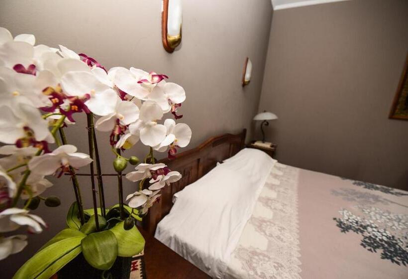 غرفة قياسية, Real Scampis