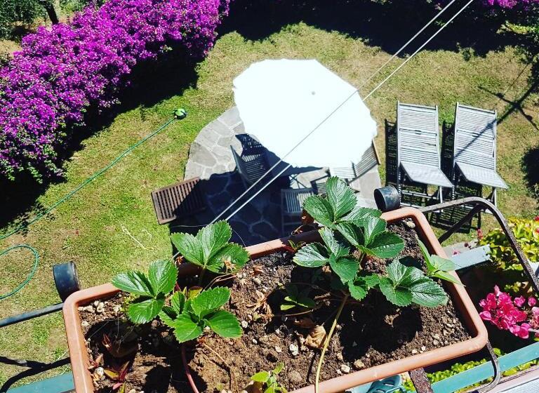 オーシャンビュースタンダードルーム, B&b Tre Mari Portofino