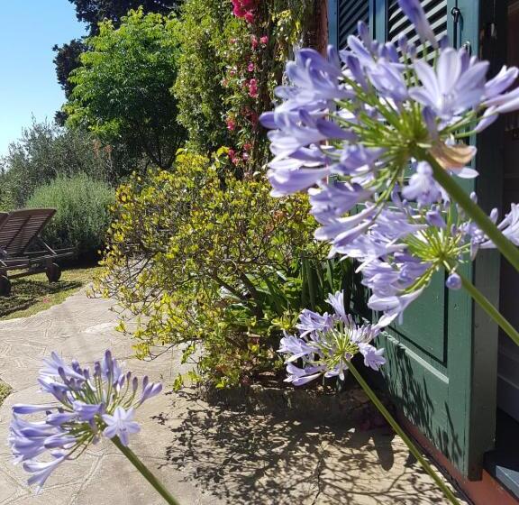 ベーシックルーム, B&b Tre Mari Portofino